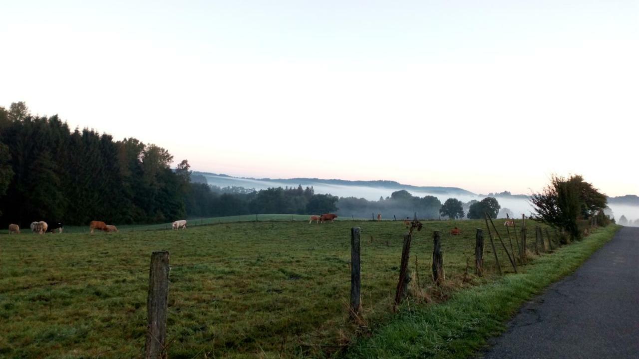 La Croisee Des Champs, Gite Entre Durbuy Et La Roche En Ardenne Érezée المظهر الخارجي الصورة